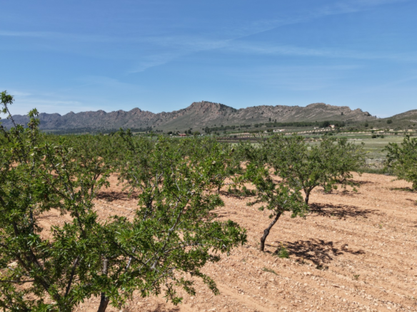 Land In Yecla, Spain (38.802 M² Plot)