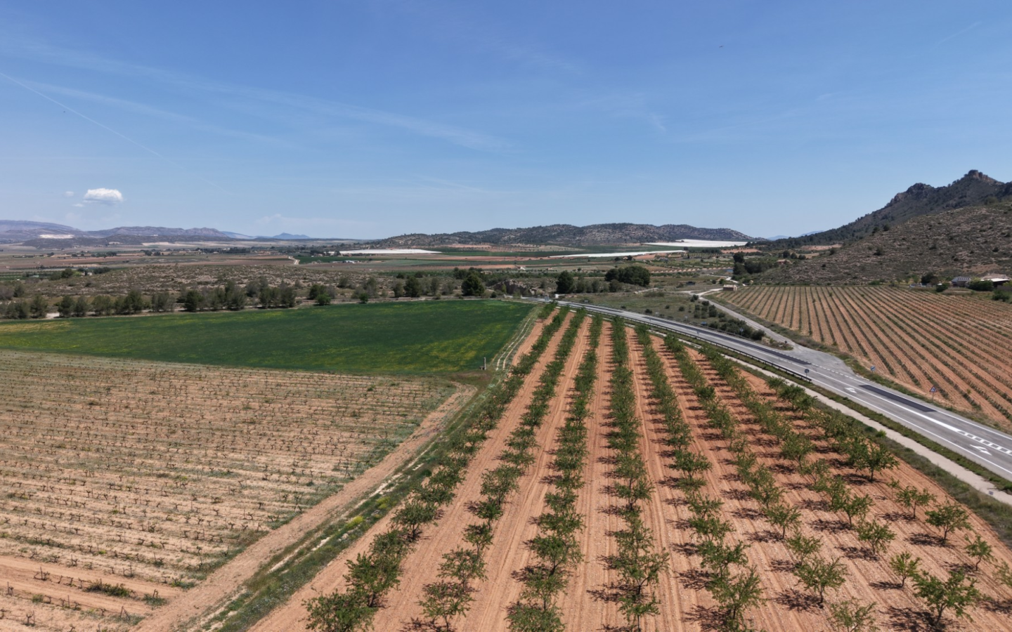 Land In Yecla, Spain (38.802 M² Plot)