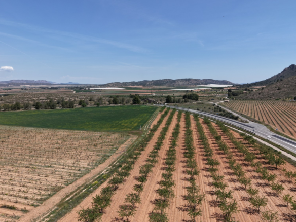 Land In Yecla, Spain (38.802 M² Plot)