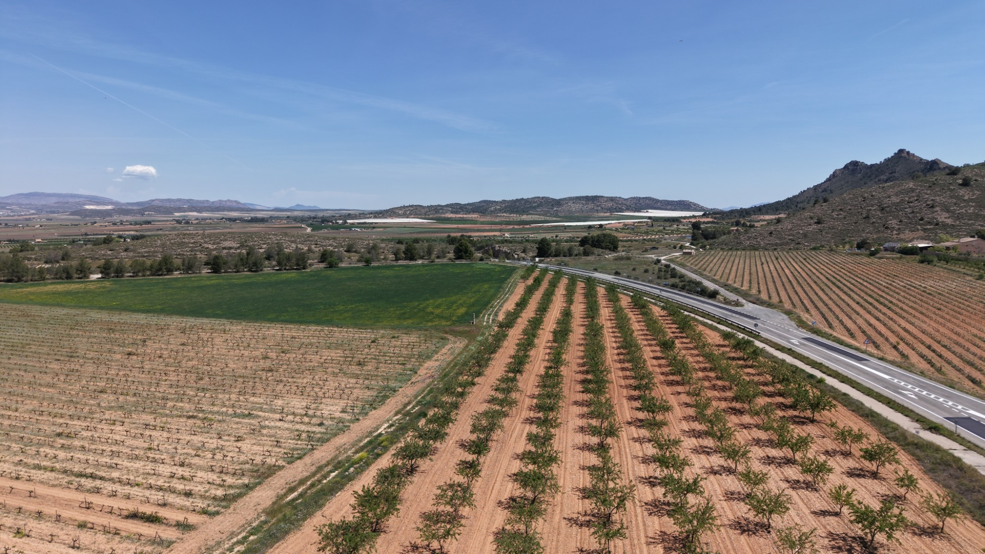 Land In Yecla, Spain (38.802 M² Plot)