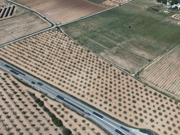 Land In Yecla, Spain (38.802 M² Plot)
