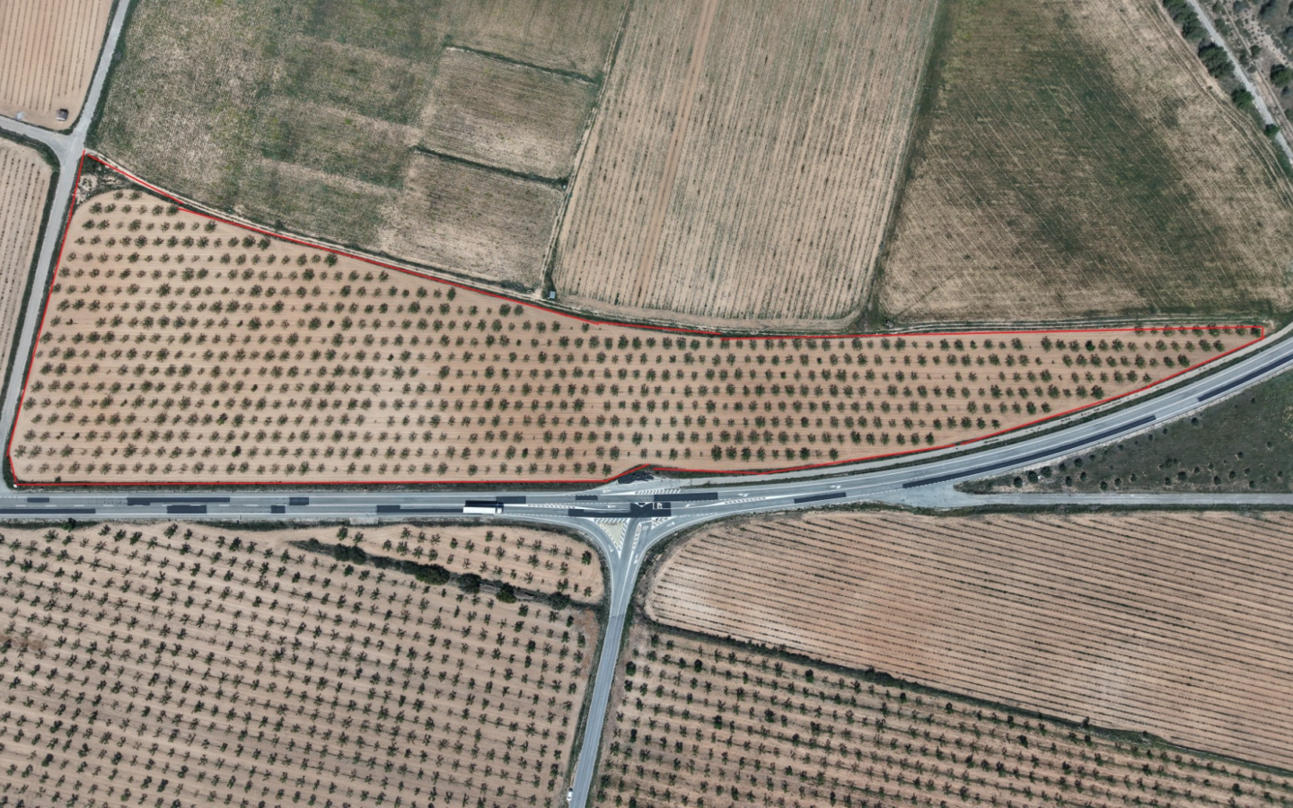 Land In Yecla, Spain (38.802 M² Plot)