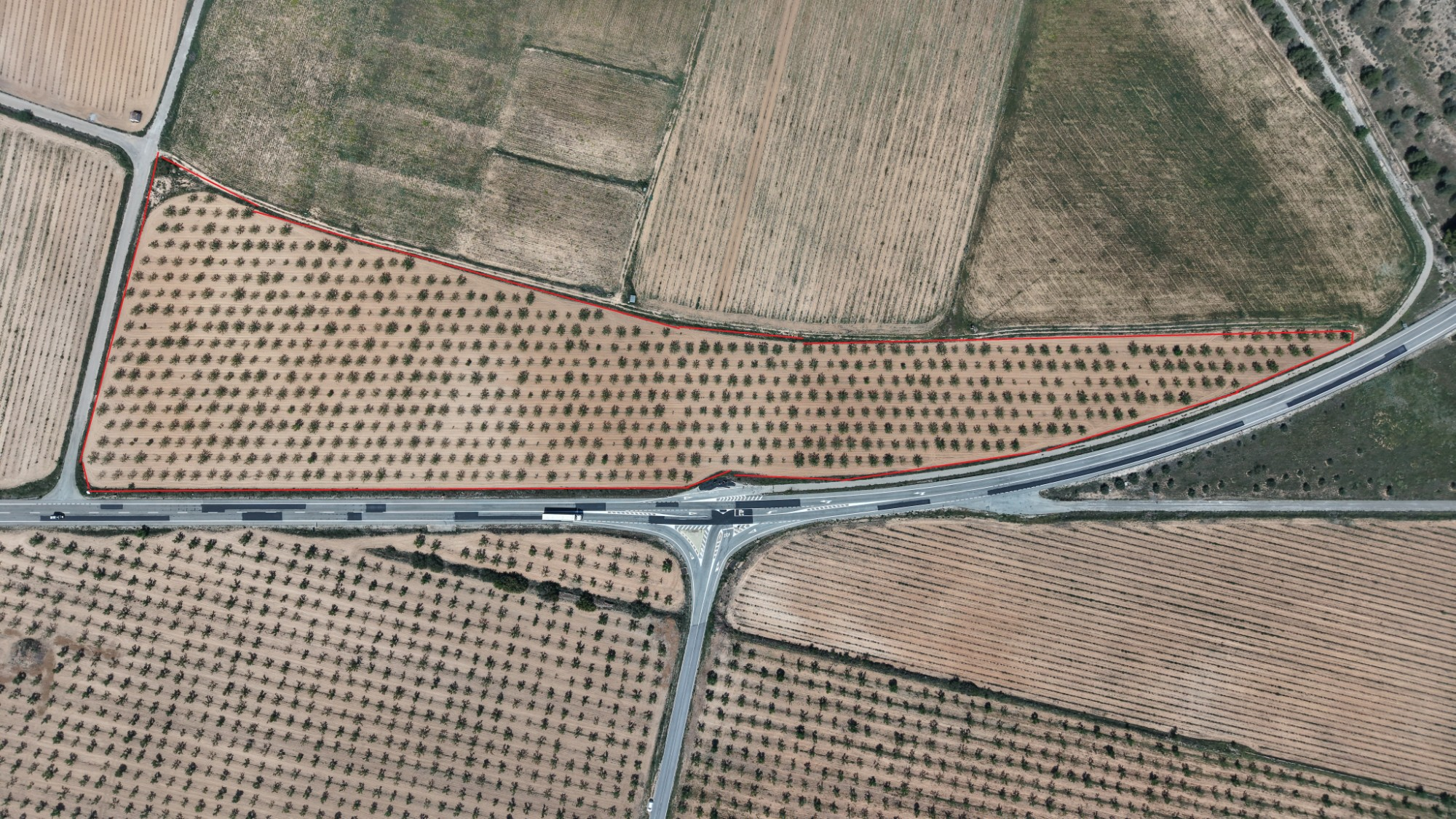 Land In Yecla, Spain (38.802 M² Plot)