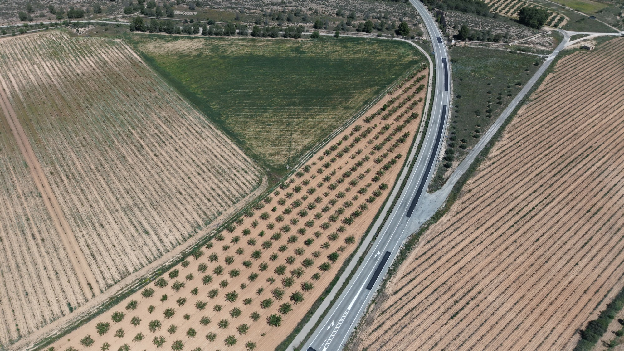 Land In Yecla, Spain (38.802 M² Plot)