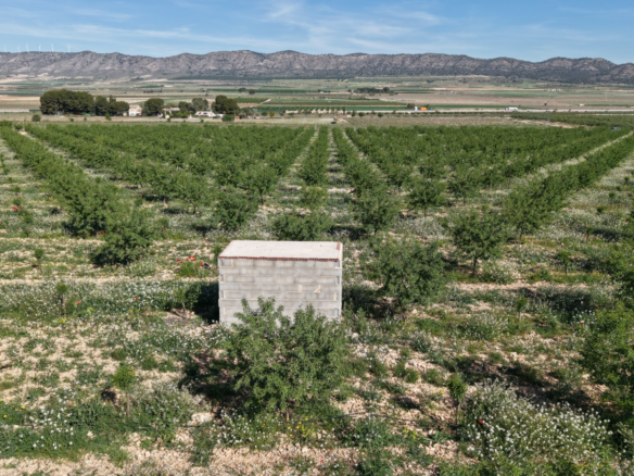 Land In Yecla, Spain (21.625 M² Plot)
