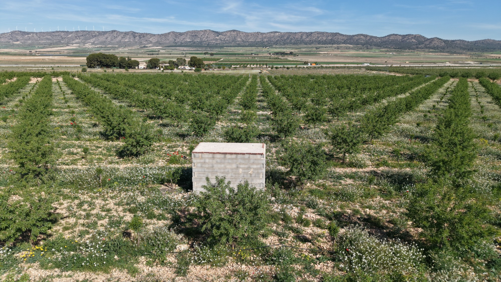 Land In Yecla, Spain (21.625 M² Plot)