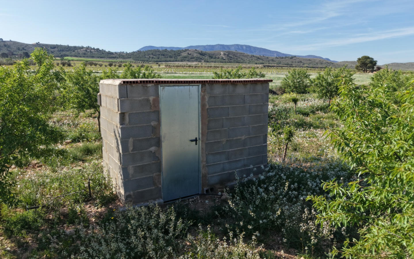 Land In Yecla, Spain (21.625 M² Plot)