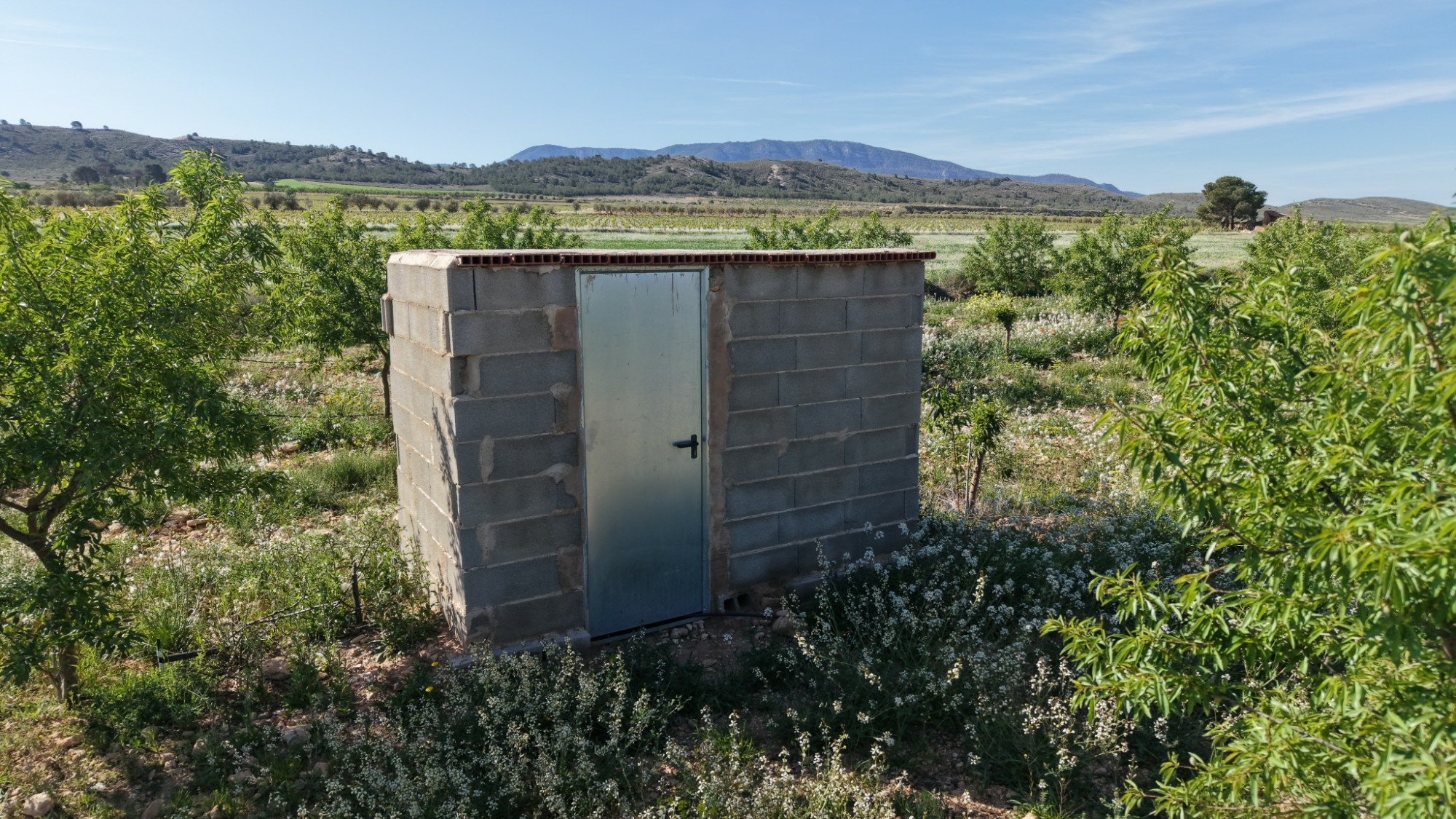 Land In Yecla, Spain (21.625 M² Plot)