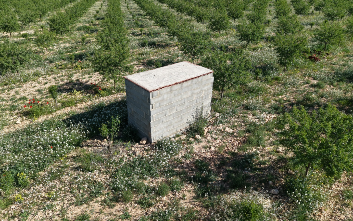 Land In Yecla, Spain (21.625 M² Plot)