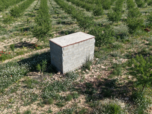 Land In Yecla, Spain (21.625 M² Plot)