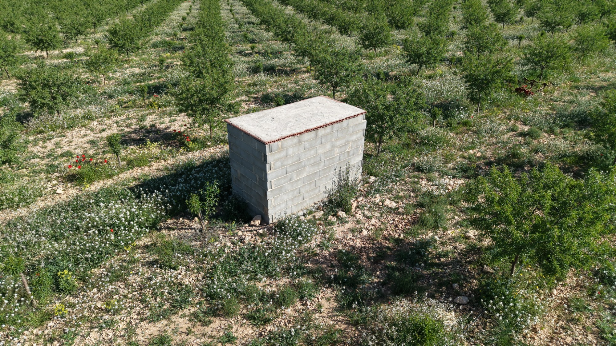 Land In Yecla, Spain (21.625 M² Plot)