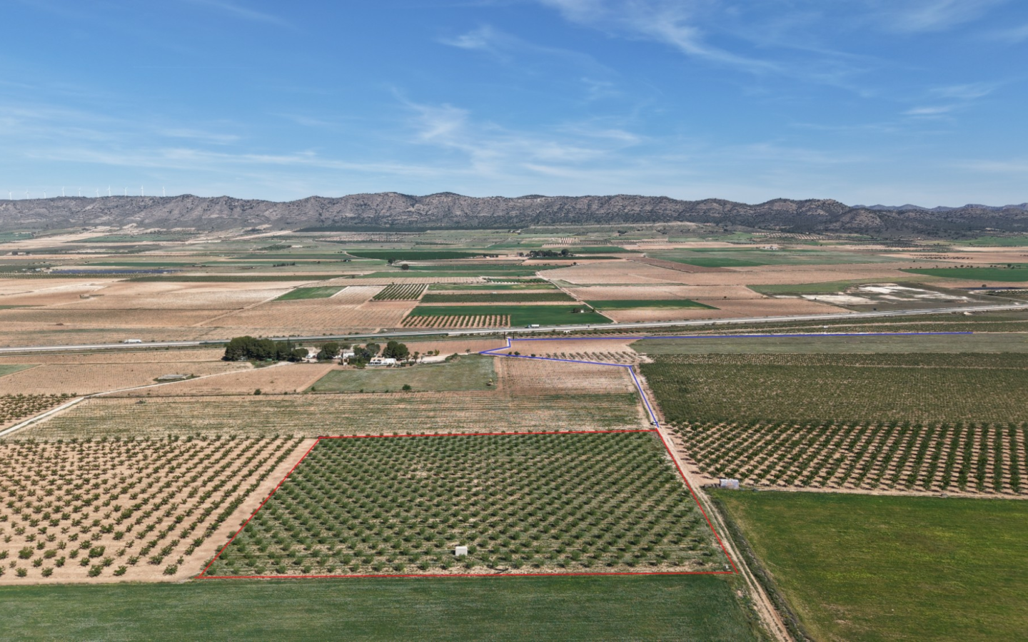 Land In Yecla, Spain (21.625 M² Plot)