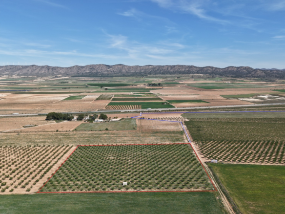 Land In Yecla, Spain (21.625 M² Plot)