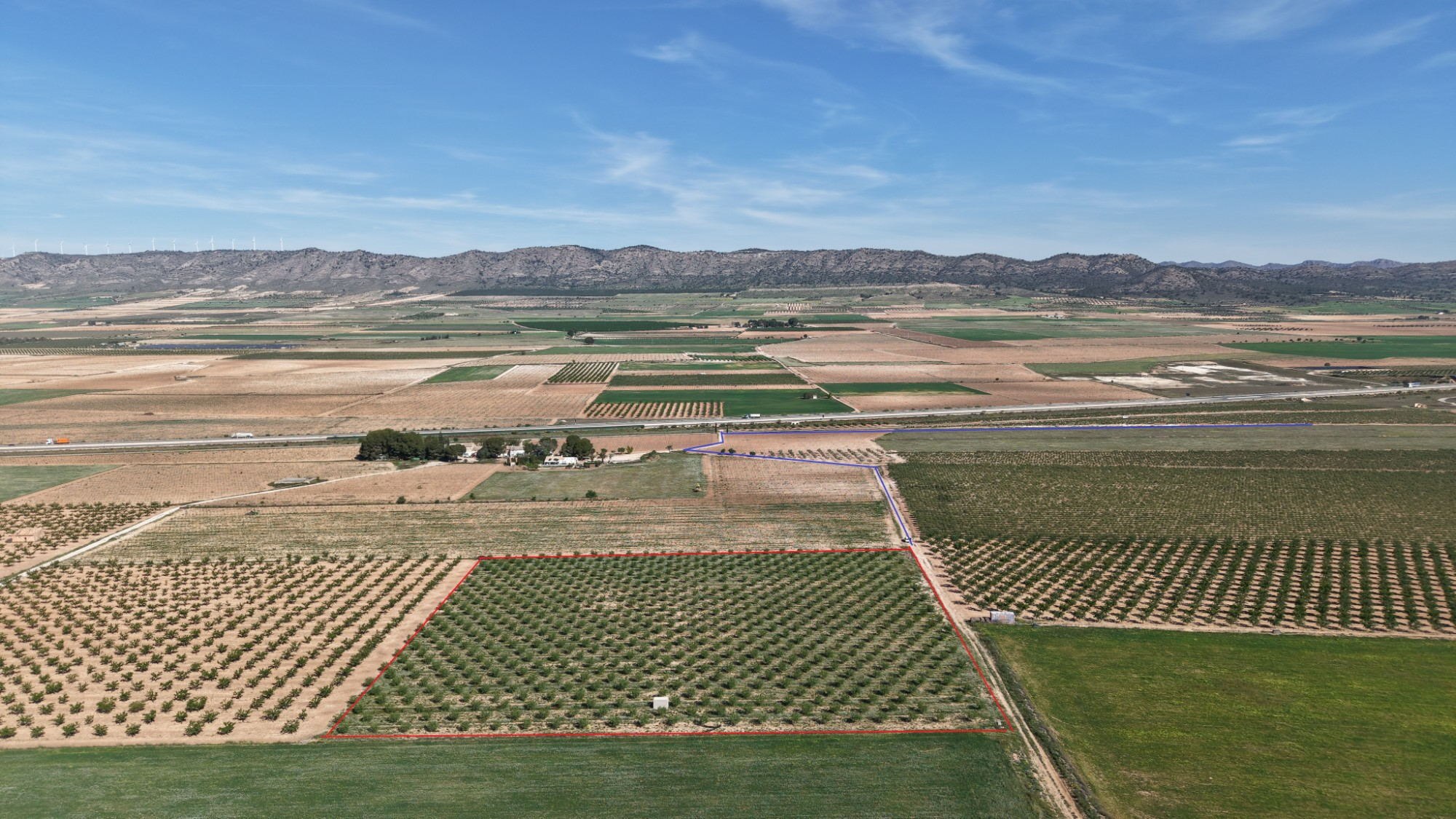 Land In Yecla, Spain (21.625 M² Plot)