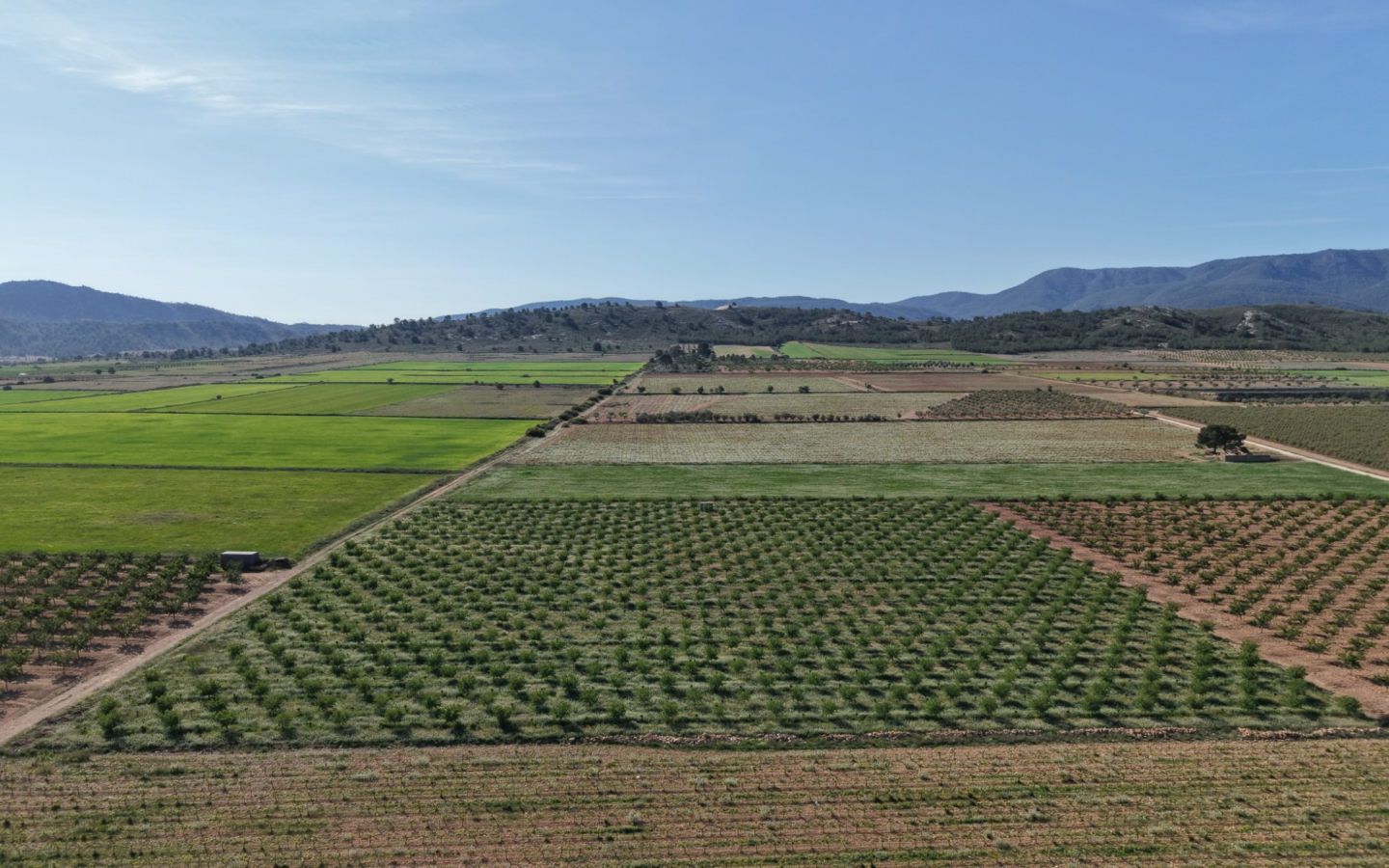 Land In Yecla, Spain (21.625 M² Plot)