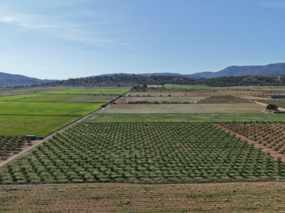 Land In Yecla, Spain (21.625 M² Plot)