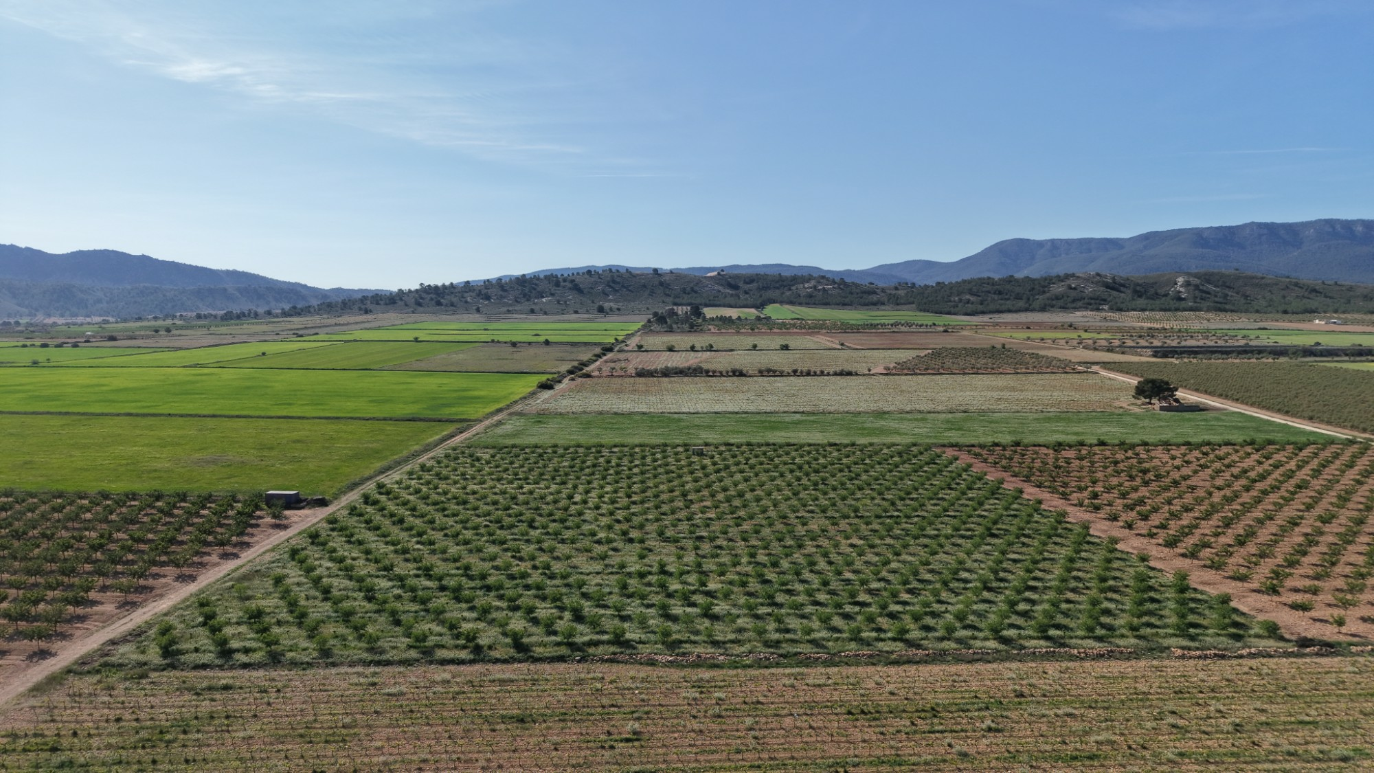 Land In Yecla, Spain (21.625 M² Plot)