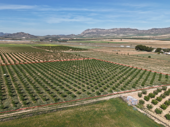Land In Yecla, Spain (21.625 M² Plot)