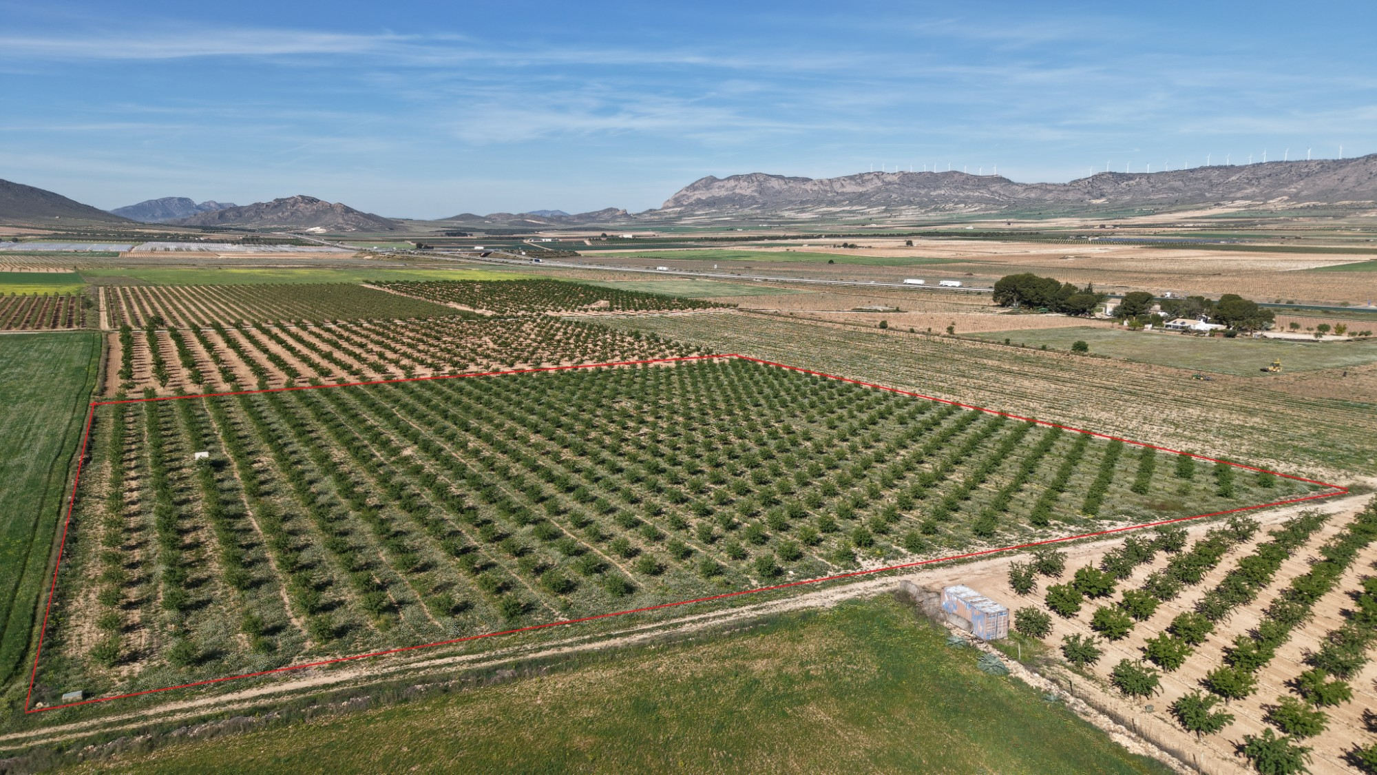 Land In Yecla, Spain (21.625 M² Plot)