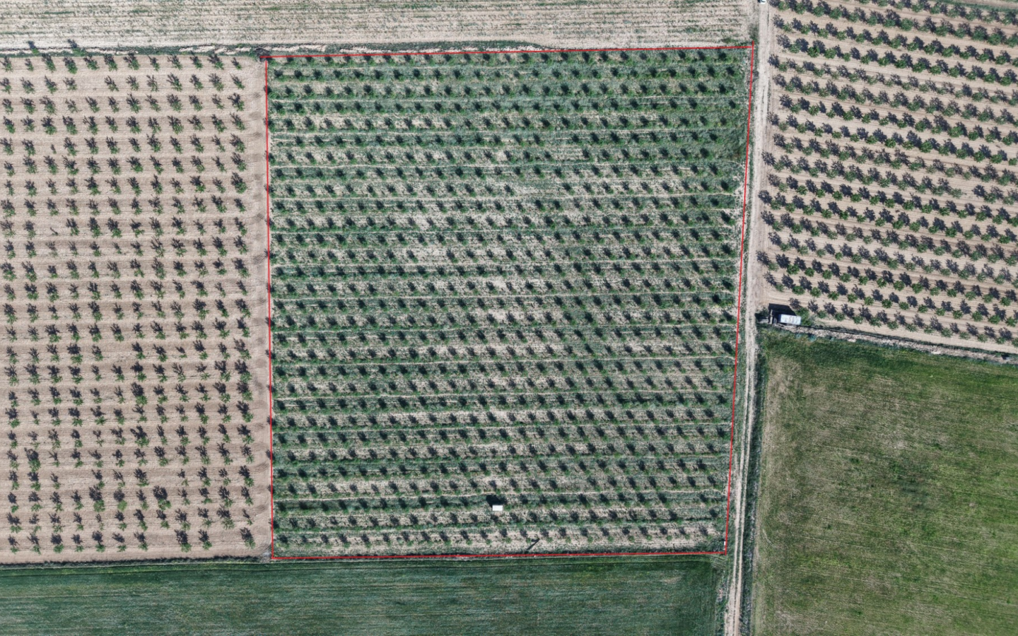 Land In Yecla, Spain (21.625 M² Plot)