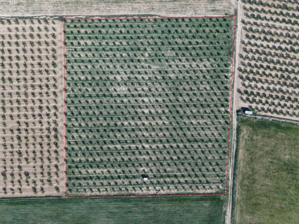 Land In Yecla, Spain (21.625 M² Plot)