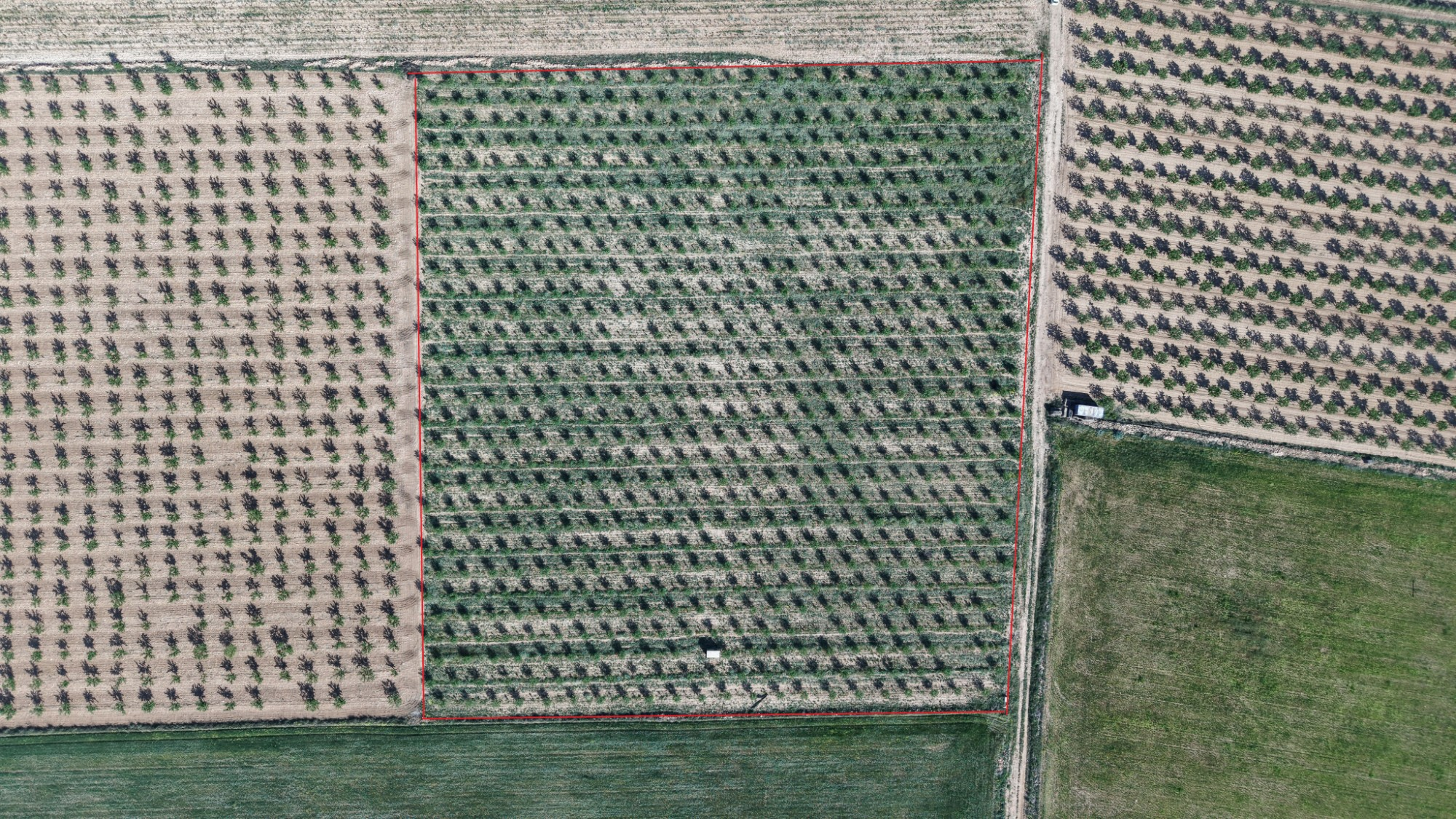 Land In Yecla, Spain (21.625 M² Plot)