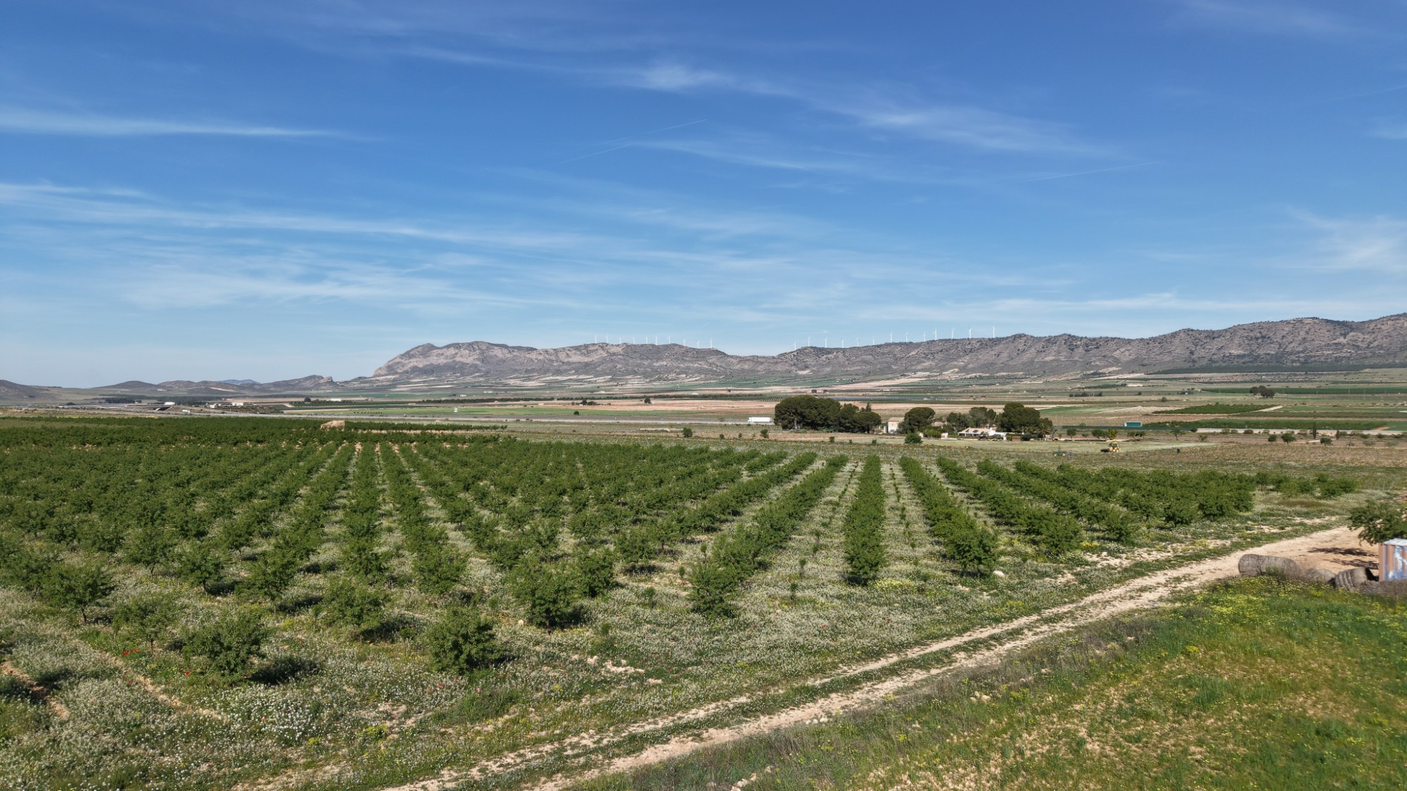 Land In Yecla, Spain (21.625 M² Plot)