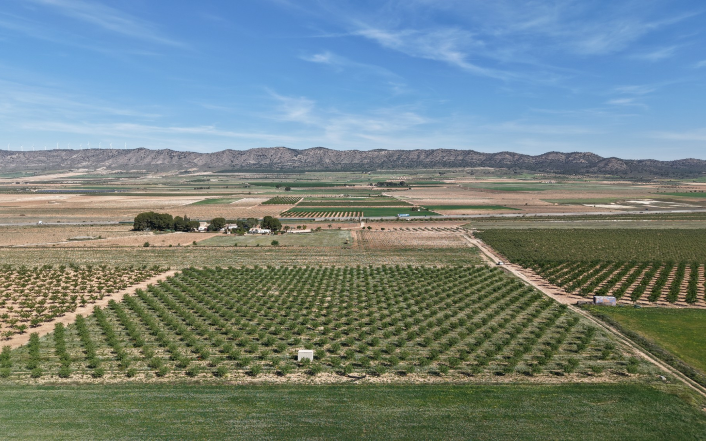 Land In Yecla, Spain (21.625 M² Plot)