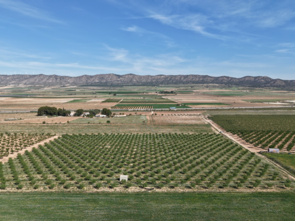 Land In Yecla, Spain (21.625 M² Plot)