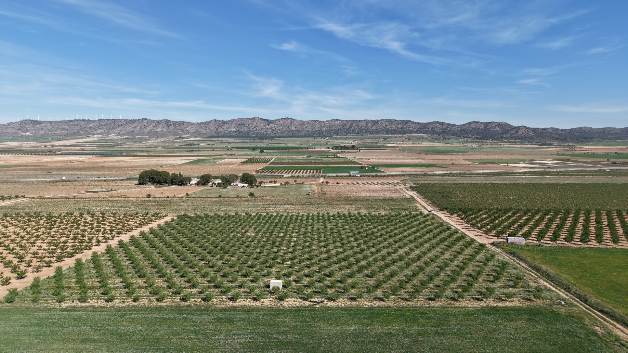 Land In Yecla, Spain (21.625 M² Plot)