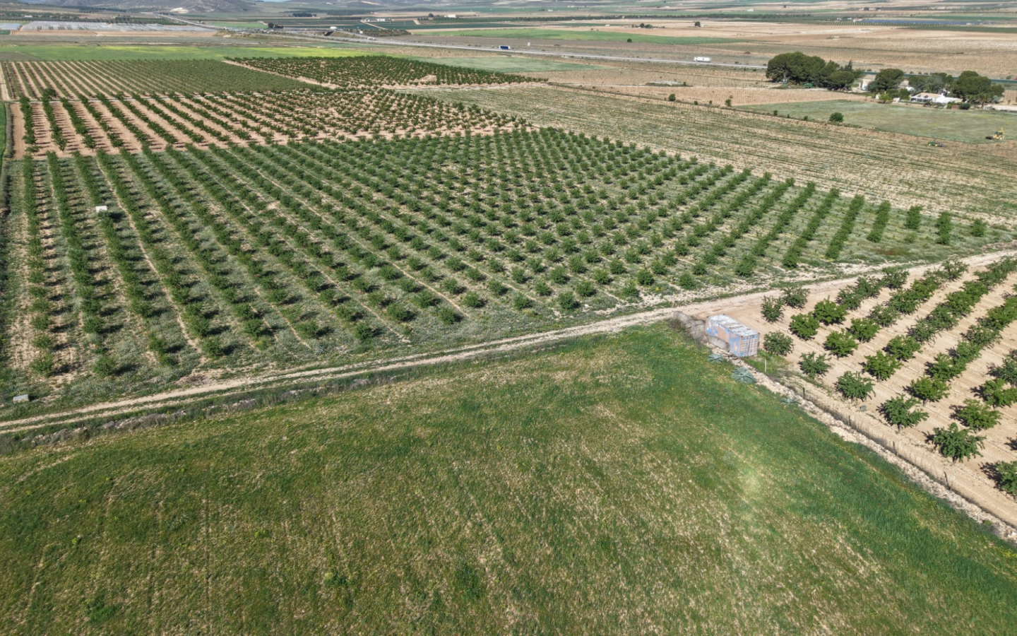 Land In Yecla, Spain (21.625 M² Plot)
