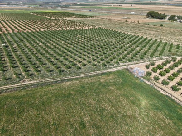 Land In Yecla, Spain (21.625 M² Plot)