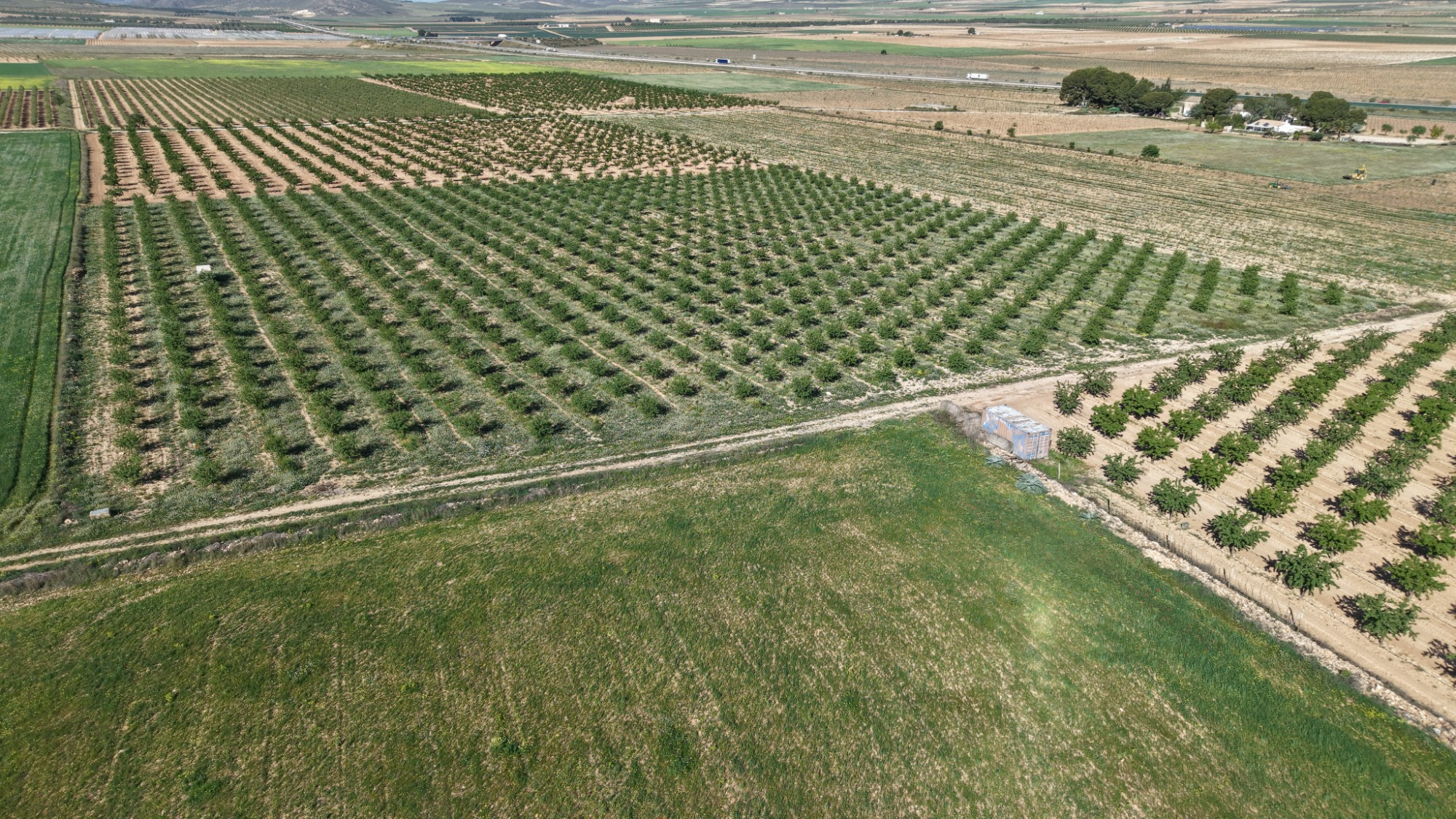 Land In Yecla, Spain (21.625 M² Plot)