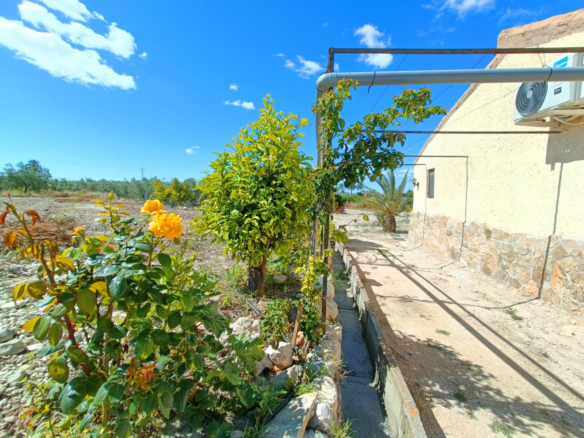 3-bedroom Detached Villa In Abanilla, Spain (100 M²)