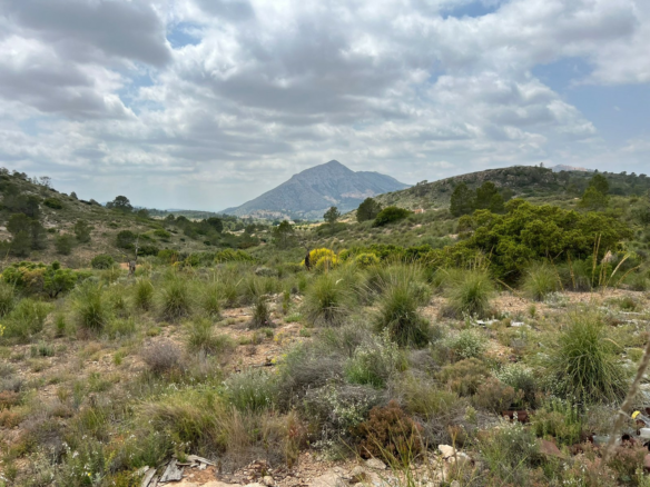 Land In Hondón De Las Nieves, Spain (10.080 M² Plot)