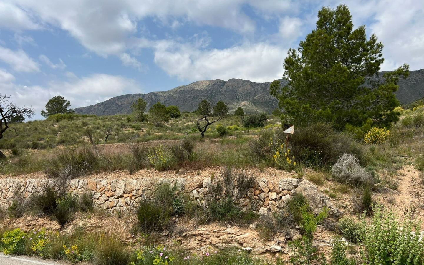 Land In Hondón De Las Nieves, Spain (10.080 M² Plot)