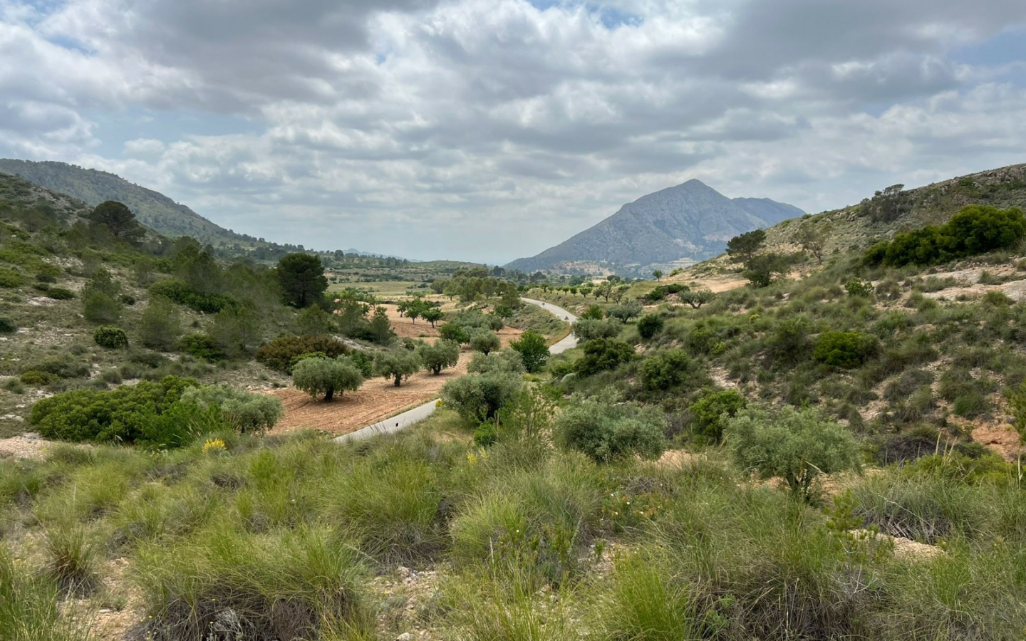 Land In Hondón De Las Nieves, Spain (10.080 M² Plot)