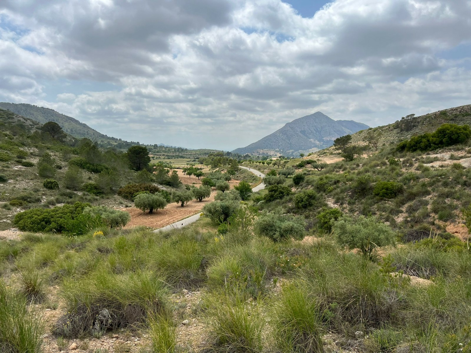 Land In Hondón De Las Nieves, Spain (10.080 M² Plot)