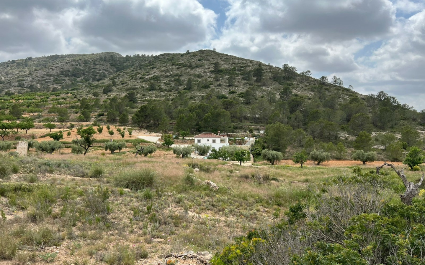 Land In Hondón De Las Nieves, Spain (10.080 M² Plot)