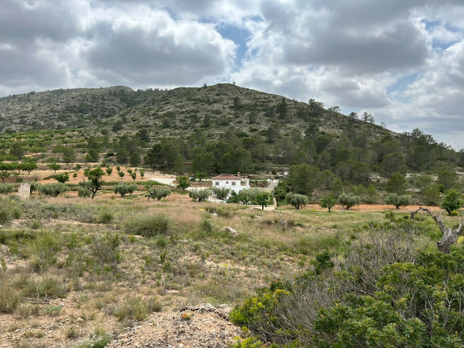 Land In Hondón De Las Nieves, Spain (10.080 M² Plot)