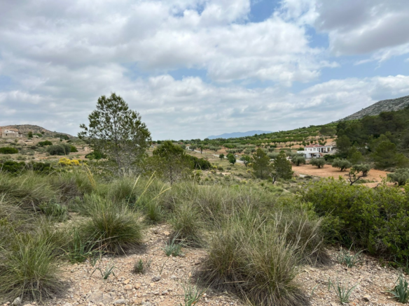 Land In Hondón De Las Nieves, Spain (10.080 M² Plot)