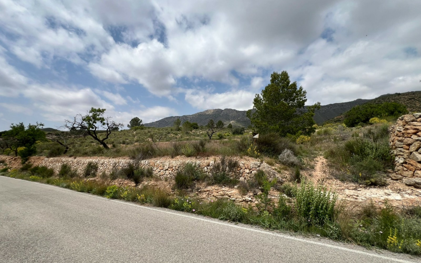 Land In Hondón De Las Nieves, Spain (10.080 M² Plot)