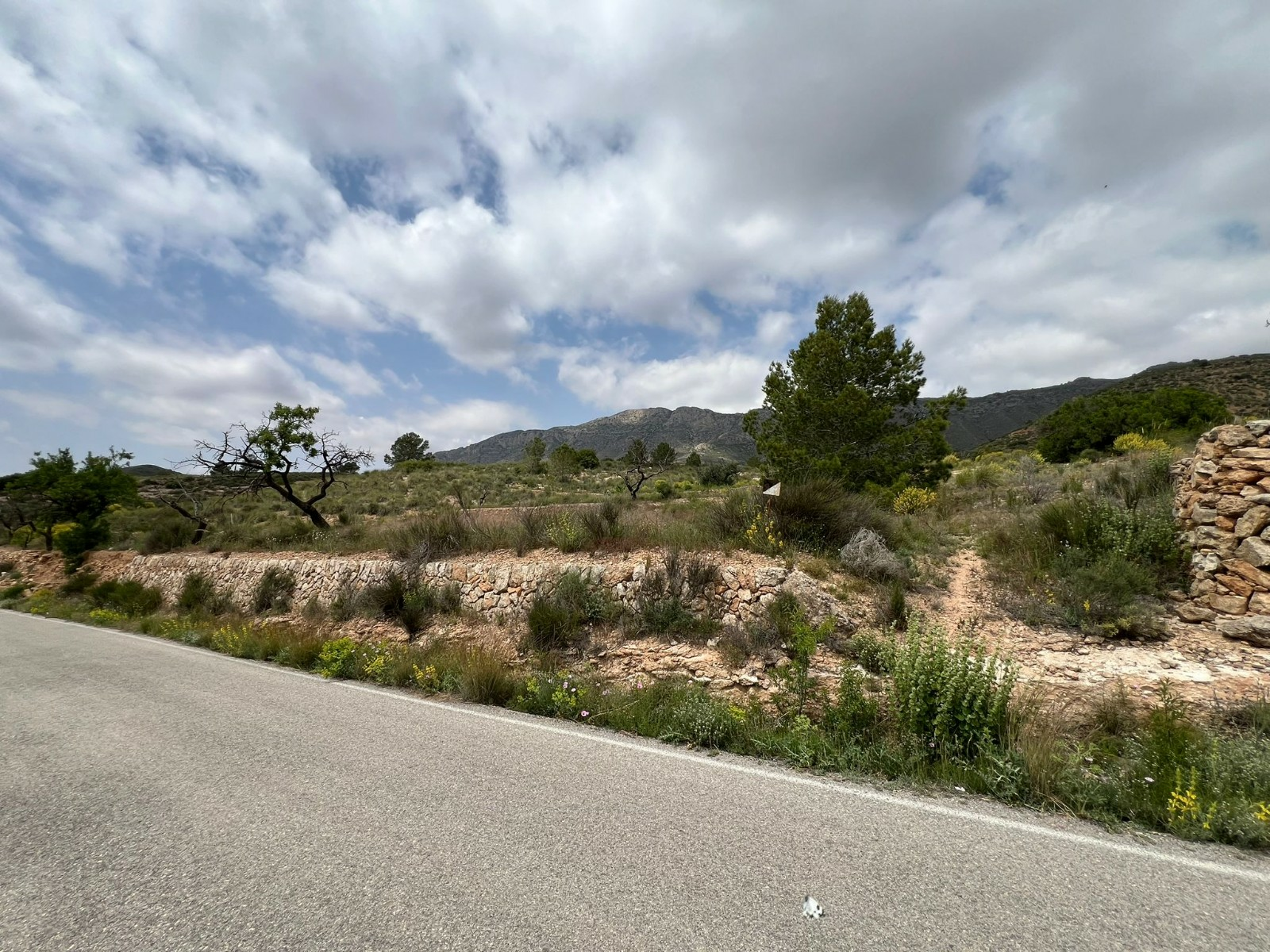 Land In Hondón De Las Nieves, Spain (10.080 M² Plot)