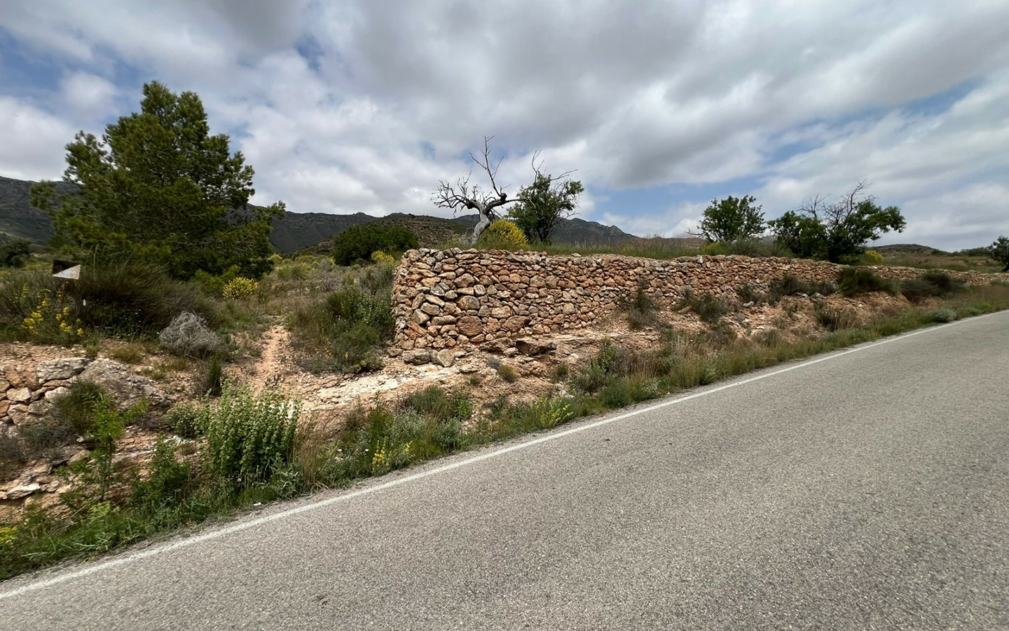 Land In Hondón De Las Nieves, Spain (10.080 M² Plot)