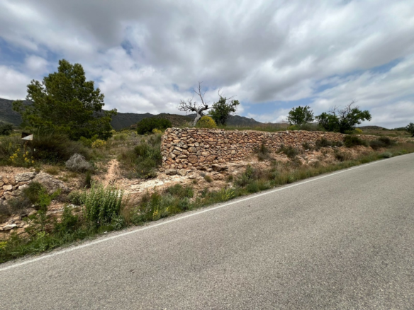 Land In Hondón De Las Nieves, Spain (10.080 M² Plot)