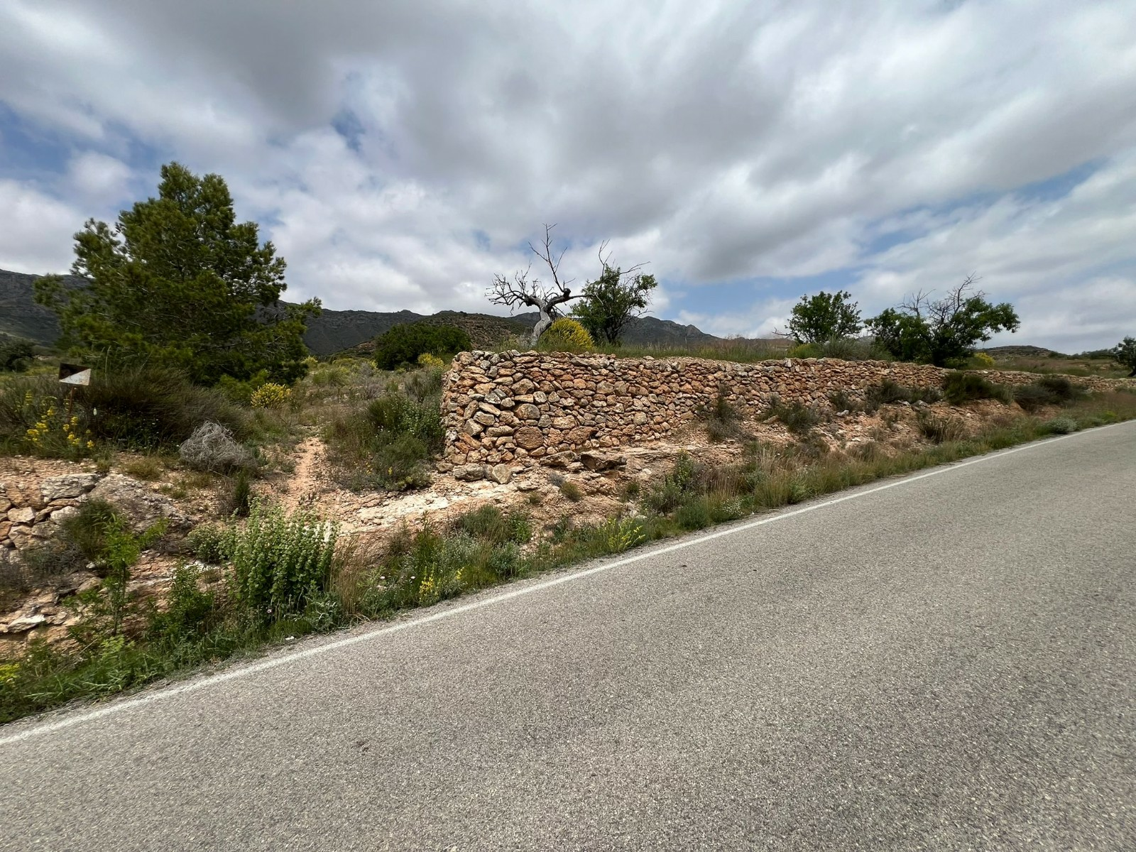 Land In Hondón De Las Nieves, Spain (10.080 M² Plot)