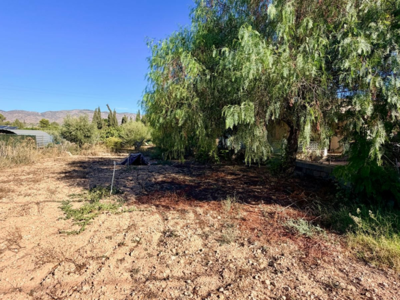 4-bedroom Detached Villa In Crevillente, Spain (267 M²)