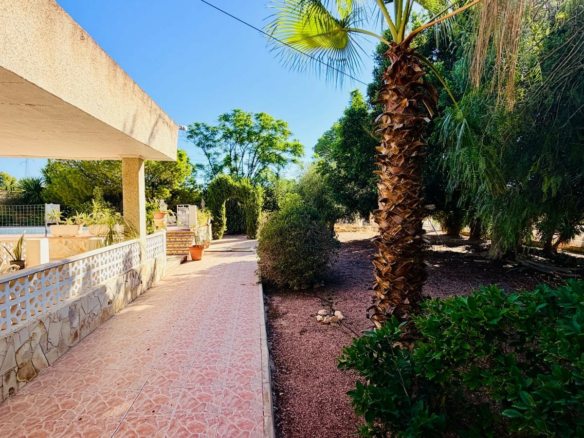 4-bedroom Detached Villa In Crevillente, Spain (267 M²)
