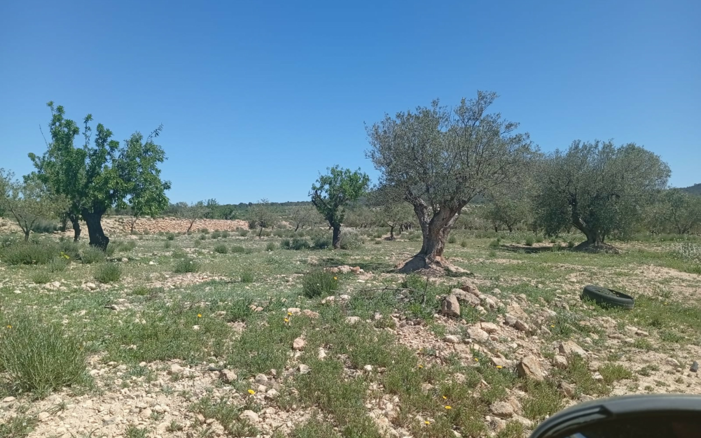 Land In Salinas, Spain (13.062 M² Plot)