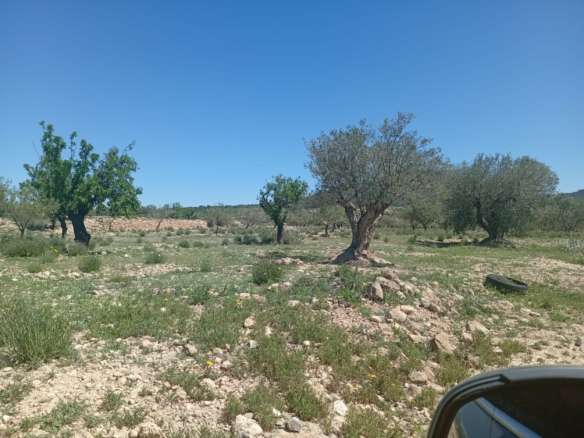 Land In Salinas, Spain (13.062 M² Plot)